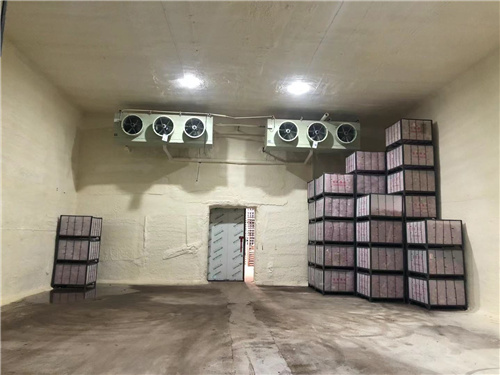 新利首页（中国）网页版苹果冷库安装案例